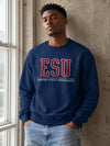 Spider Game Sweatshirt ESU Suit Shirt Empire State University Merch The ESU Suit Crewneck