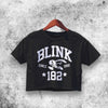 Blink 182 Band 1992 Crop Top Blink 182 Shirt Aesthetic Y2K Shirt - WorldWideShirt