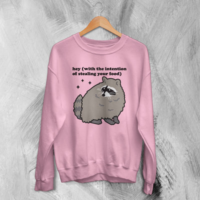 Raccoon Sweatshirt Hey Stealing Your Food Sweater Funny Joke Shirt - WorldWideShirt