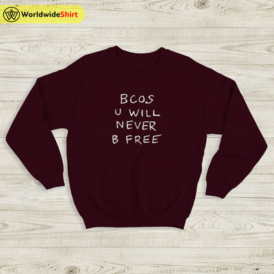 Bcos U WIll Never B Free Sweatshirt Rex Orange County Shirt ROC