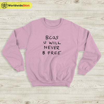 Bcos U WIll Never B Free Sweatshirt Rex Orange County Shirt ROC